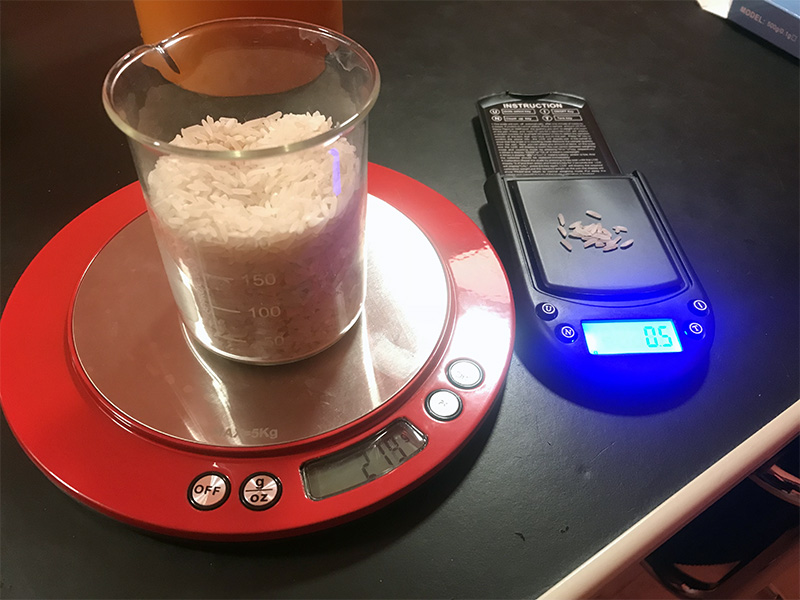 Schaakbord met rijst: exponentiële groei | Plakken en Knippen